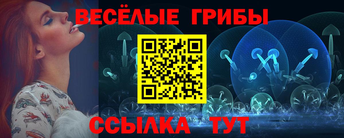 Псилоцибиновые грибы мухоморы Черногорск