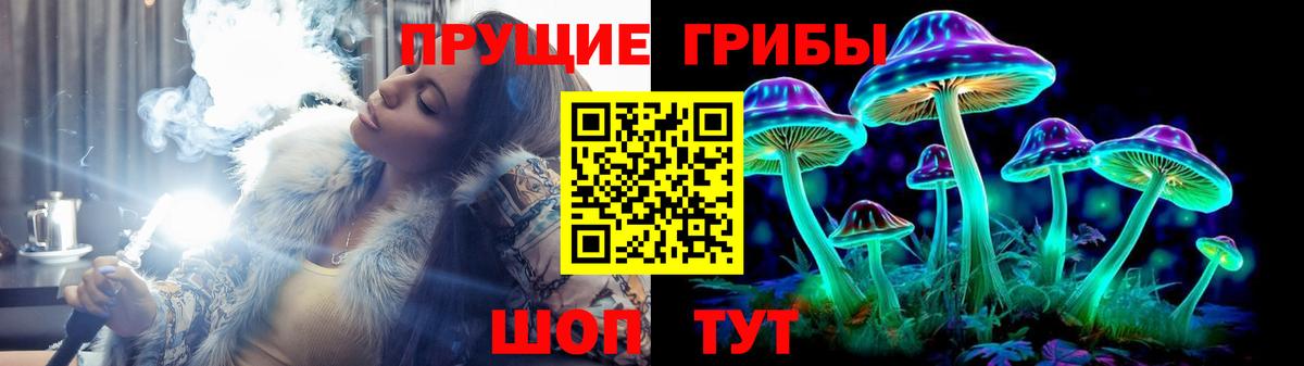 Черногорск  Галлюциногенные грибы GOLDEN TEACHER  Вход с VPN 